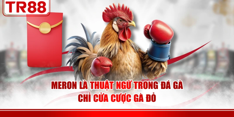 Meron là thuật ngữ trong đá gà chỉ cửa cược gà đỏ
